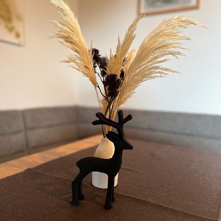 Ferienwohnung Almlust ホーホ エクステリア 写真