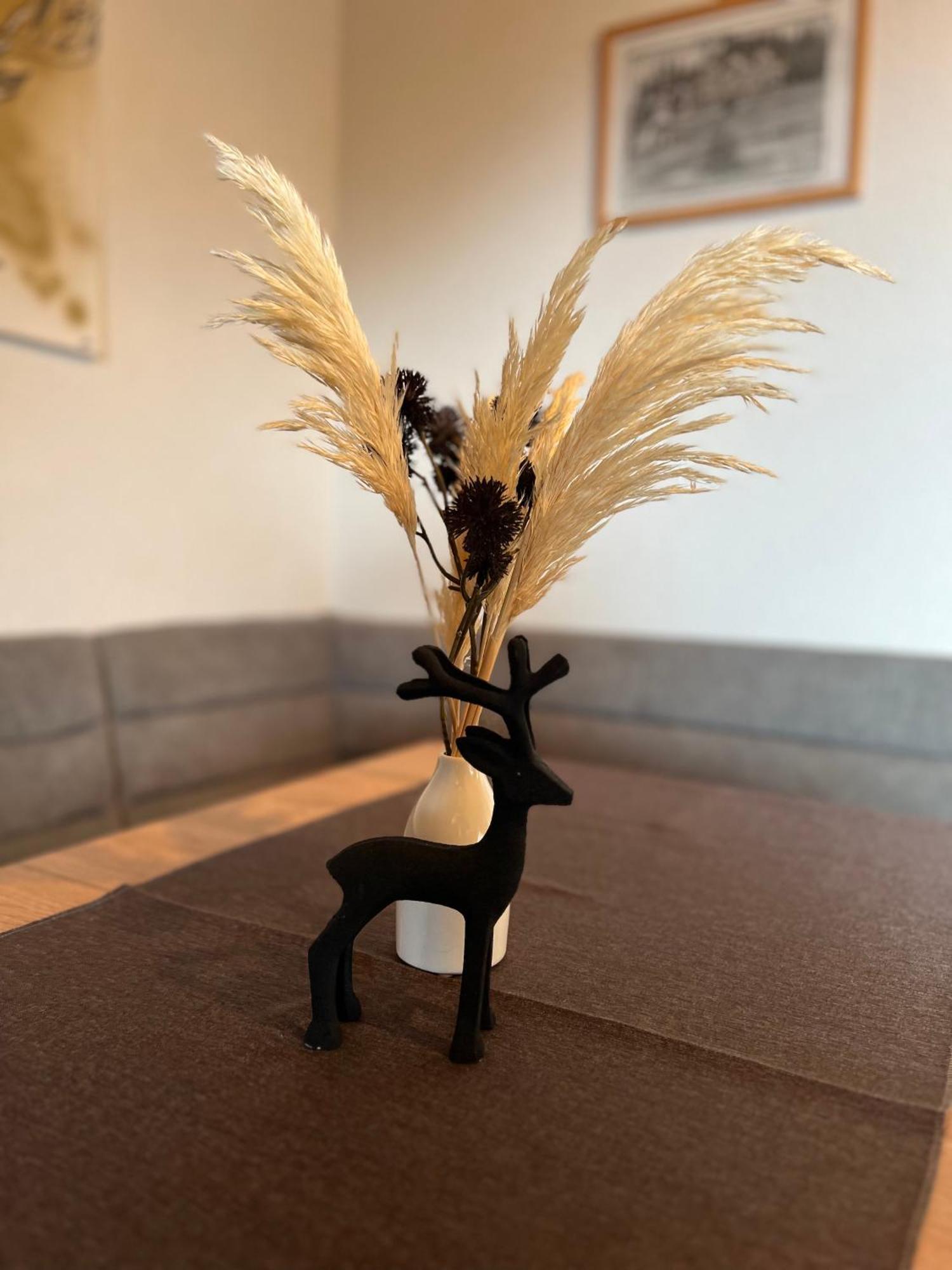 Ferienwohnung Almlust ホーホ エクステリア 写真